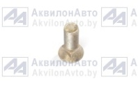 Болт стяжной диска с гайкой гальваника (ТО-18.05.02.001 / ТО-18.05.02.002) от АквилонАвто