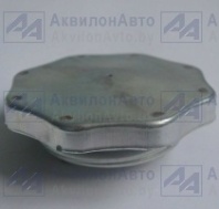 Пробка (А) (Т40-1103010) от АквилонАвто