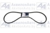 Ремень TOYOPOWER (SPA (11х10) -1775) от АквилонАвто