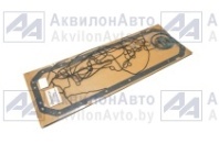 Набор прокладок картера (1874865С91) от АквилонАвто