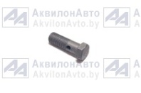Болт штуцера (240-3509233) от АквилонАвто