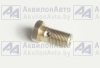 Болт М10х1-22 дренажной трубки (Автодизель) (310122-П29) от АквилонАвто