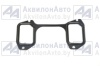 Прокладка впускного коллектора 1-слойная (04509839) (04255362) от АквилонАвто