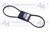 Ремень зубч. TOYOPOWER (XPZ-1250) (AVX 10х1250) от АквилонАвто