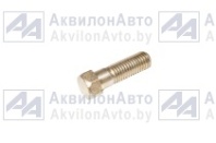 Болт (1221-2407505) от АквилонАвто