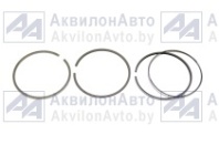 Кольца поршневые NE Renault Laguna/Megane  (9-3843-00) от АквилонАвто