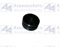 Заглушка (220-4202023) от АквилонАвто