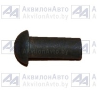 Заклепка 10х30 (5604/100100) от АквилонАвто