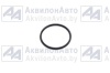 Кольцо (050-054-25-2-2) от АквилонАвто