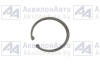 Кольцо (101-2919032) от АквилонАвто