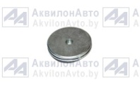 Заглушка шкворня (64221-3001036) от АквилонАвто
