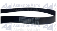  Ремень генератора WEICHAI (611600060038) от АквилонАвто