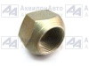 Гайка (36-3104019*) от АквилонАвто