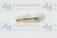 Плунжерная пара (Я1111150) от АквилонАвто