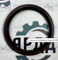 Сальник коленвала задний WEICHAI WP-7 (610800010027) (1002836764) от АквилонАвто