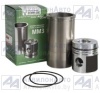 Комплект ЦПГ к дв. ММЗ КМЗ ЕВРО-2 (Ø 38) (260.1000104-А гр.М) от АквилонАвто