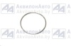 Кольцо (101-2919034) от АквилонАвто